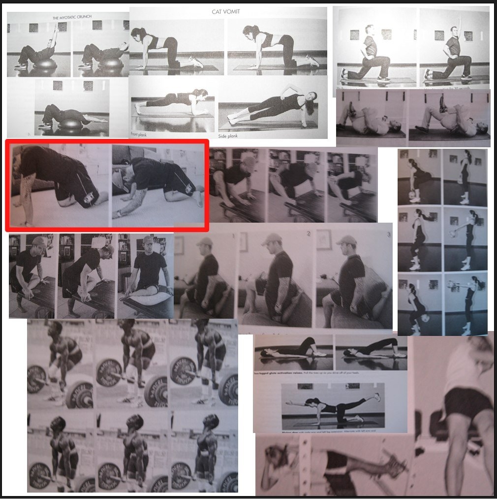 4 Hour Body Cheat Sheet Adam Loving s Blog