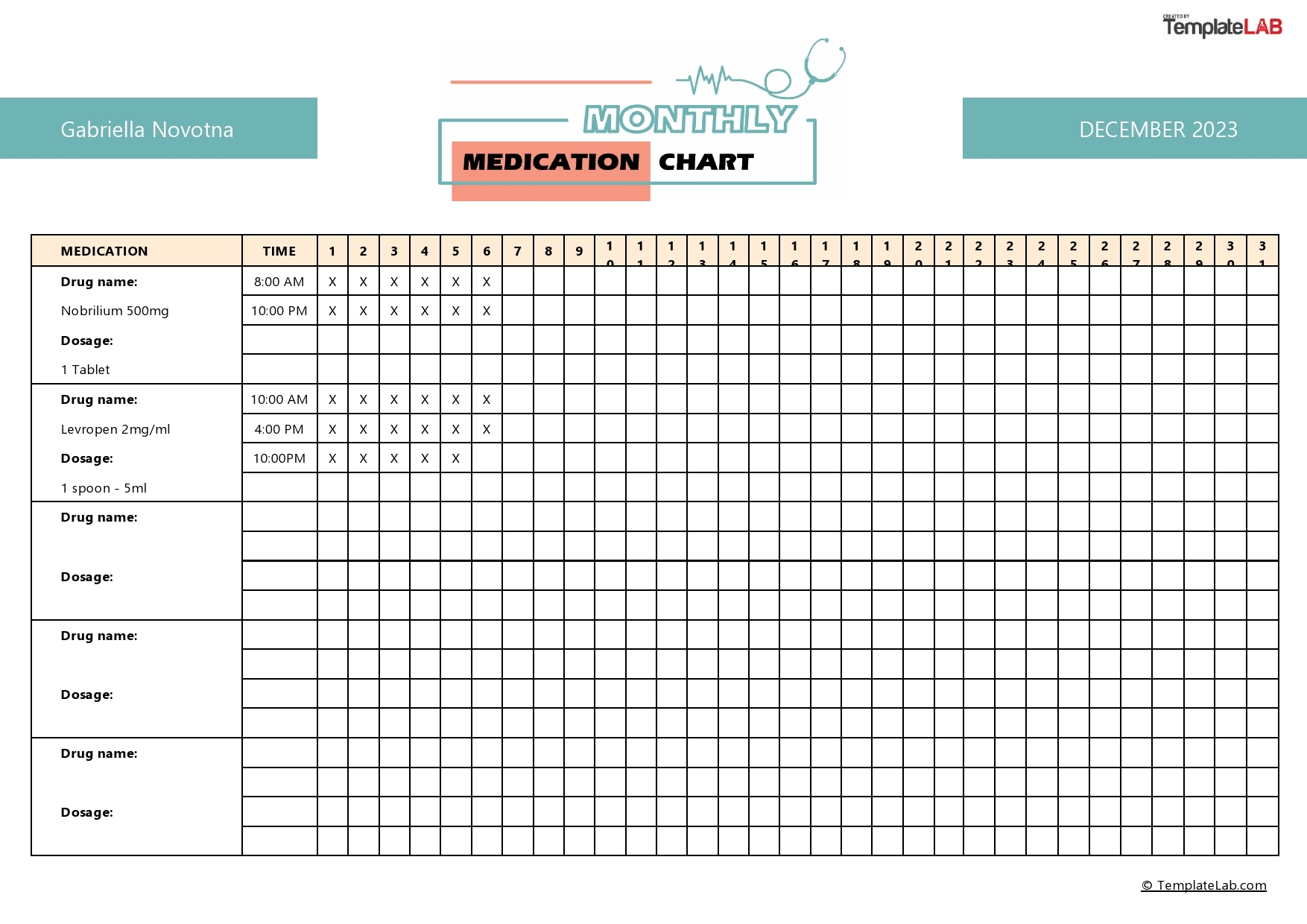 Daily Medication Chart Template Printable