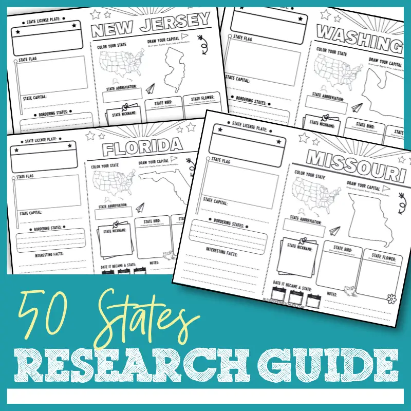 50 States Printable Worksheets Free 50 States Printable Worksheets Free