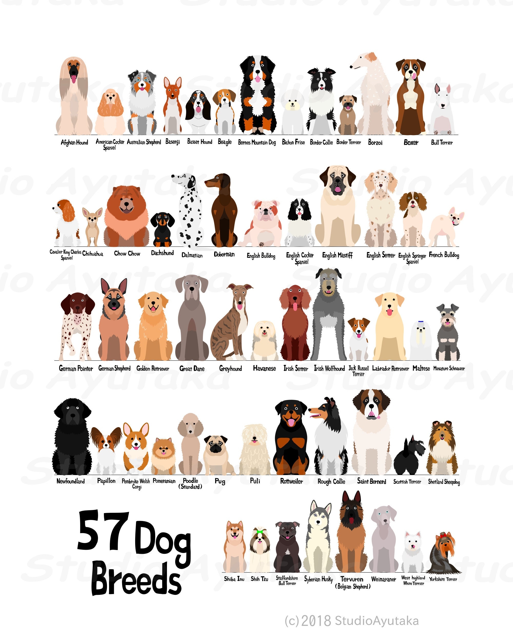 Printable Dog Breed Chart