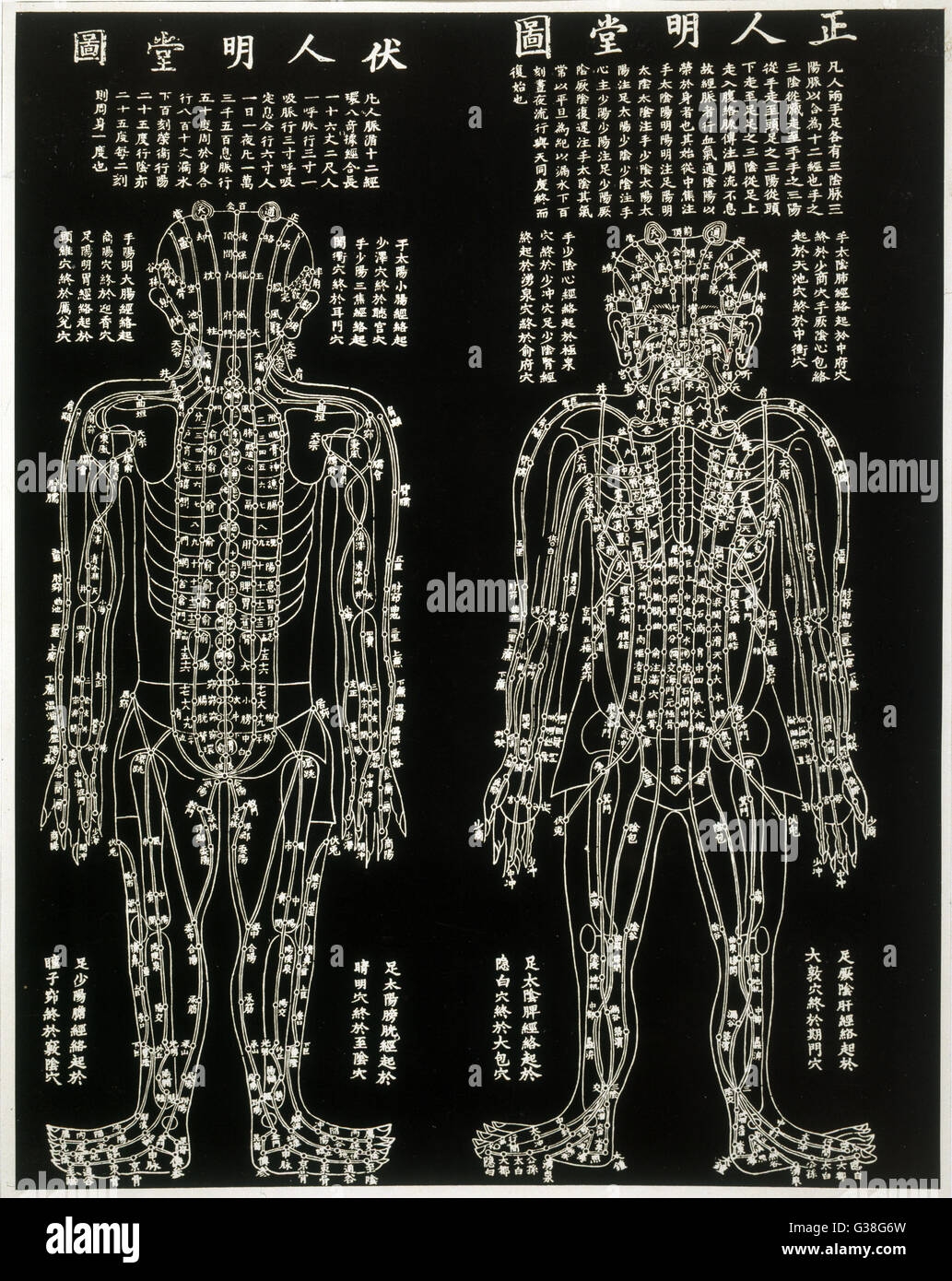 Acupuncture Chart Hi res Stock Photography And Images Alamy