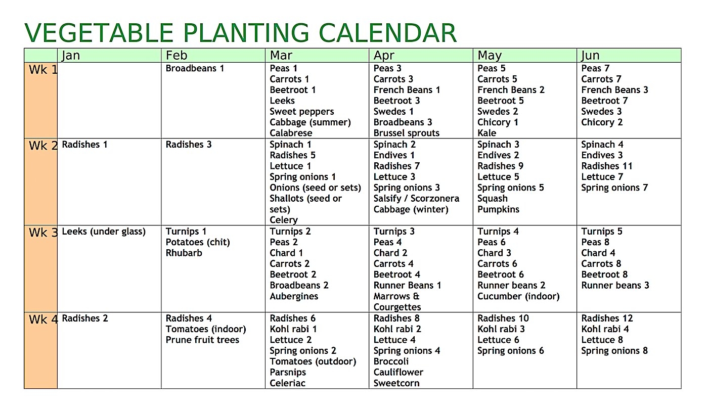 Allotment Heaven Vegetable Planting Calendar