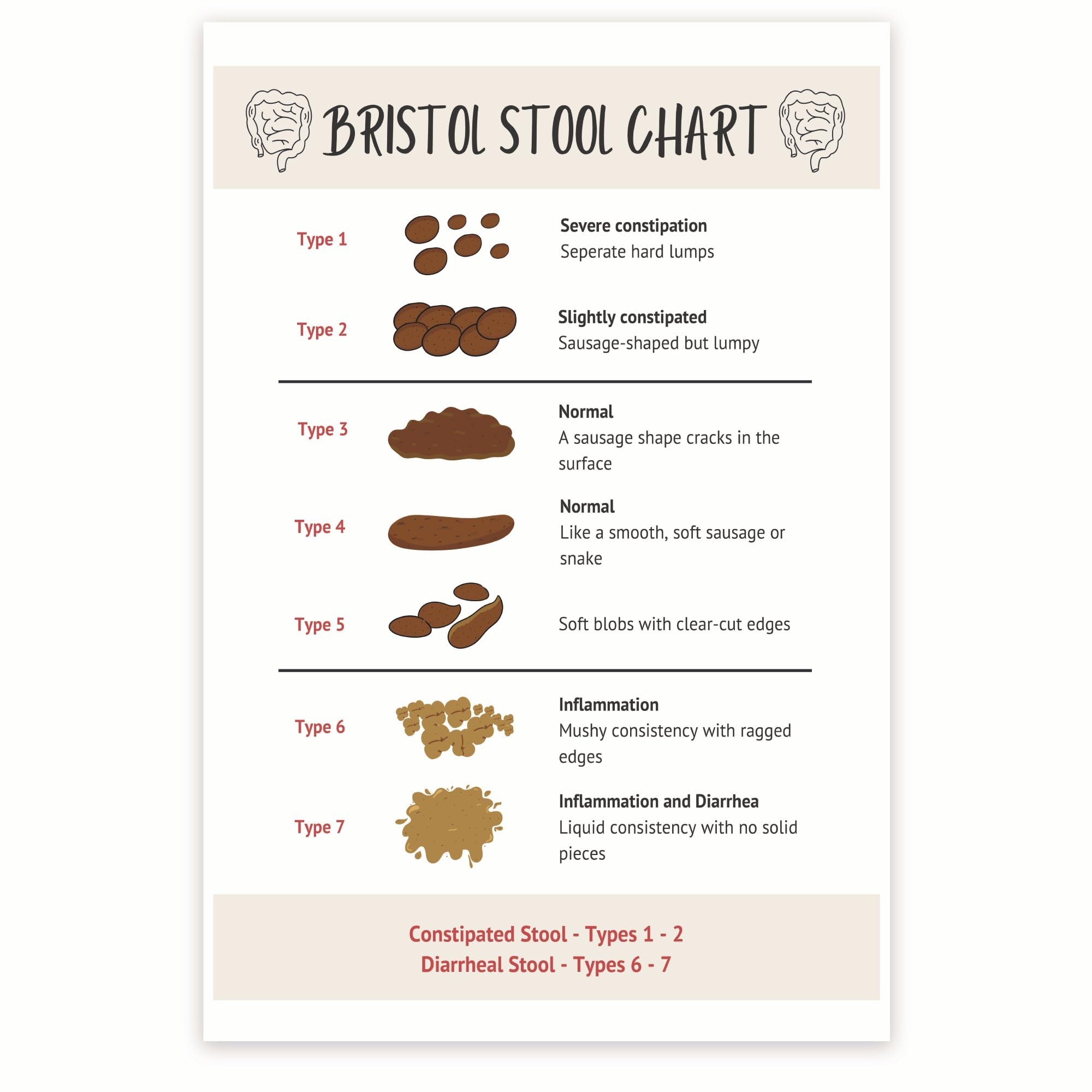 Bristol Stool Chart Free Printable