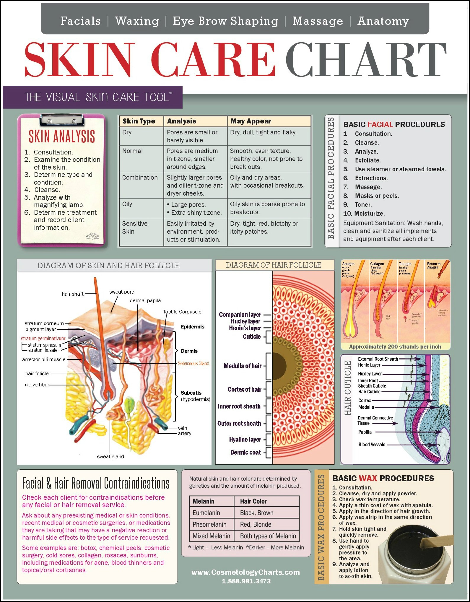 Amazon Ciao Bella Enterprises Skin Care Chart 2 Sided Laminated Quick Reference Guide Covers Skin Care Services Facials Waxing Eye Brow Shaping Massage Anatomy Industrial Scientific