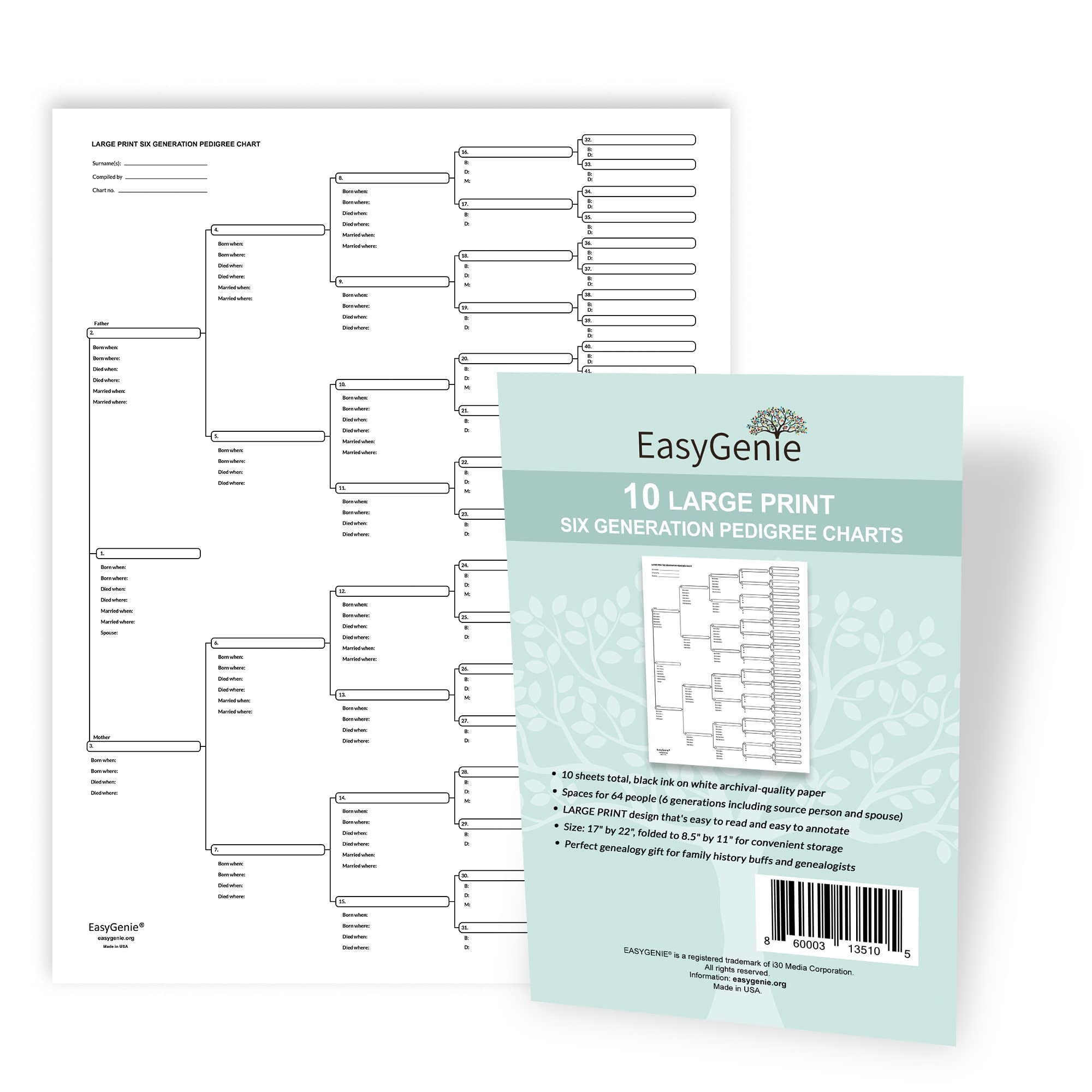 Amazon EASYGENIE 10 LARGE PRINT Six Generation Pedigree Charts For Ancestry Archival Quality Genealogy Forms Office Products