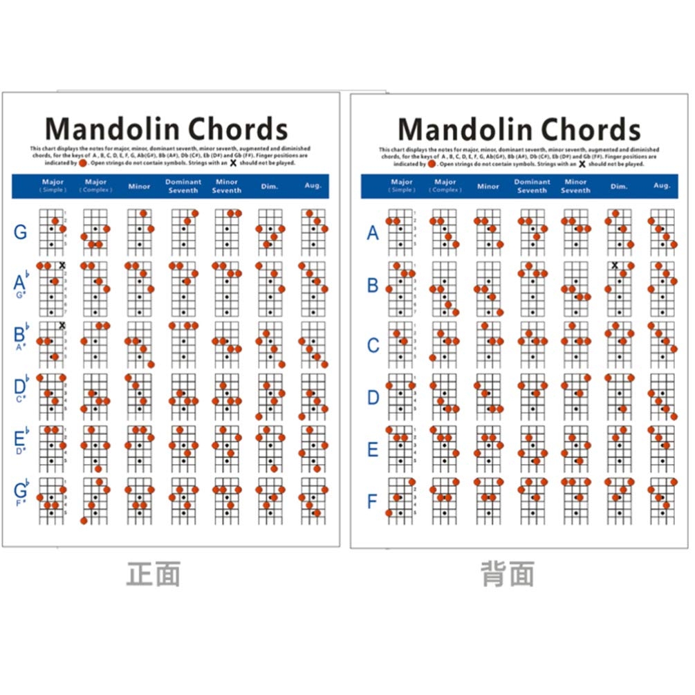 Amazon Large Mandolin Chord Chart Coated Paper Diagram For Beginners Lightweight And Durable Practice Guide 22 44 X 16 14 Inches Musical Instruments
