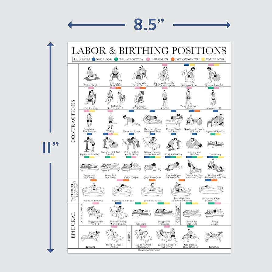 Amazon Palace Learning Labor Birthing Positions Tearsheet Handout Childbirth Education For Doula Midwife Or Birthworker Set Of 100 8 5 X 11 Sports Outdoors