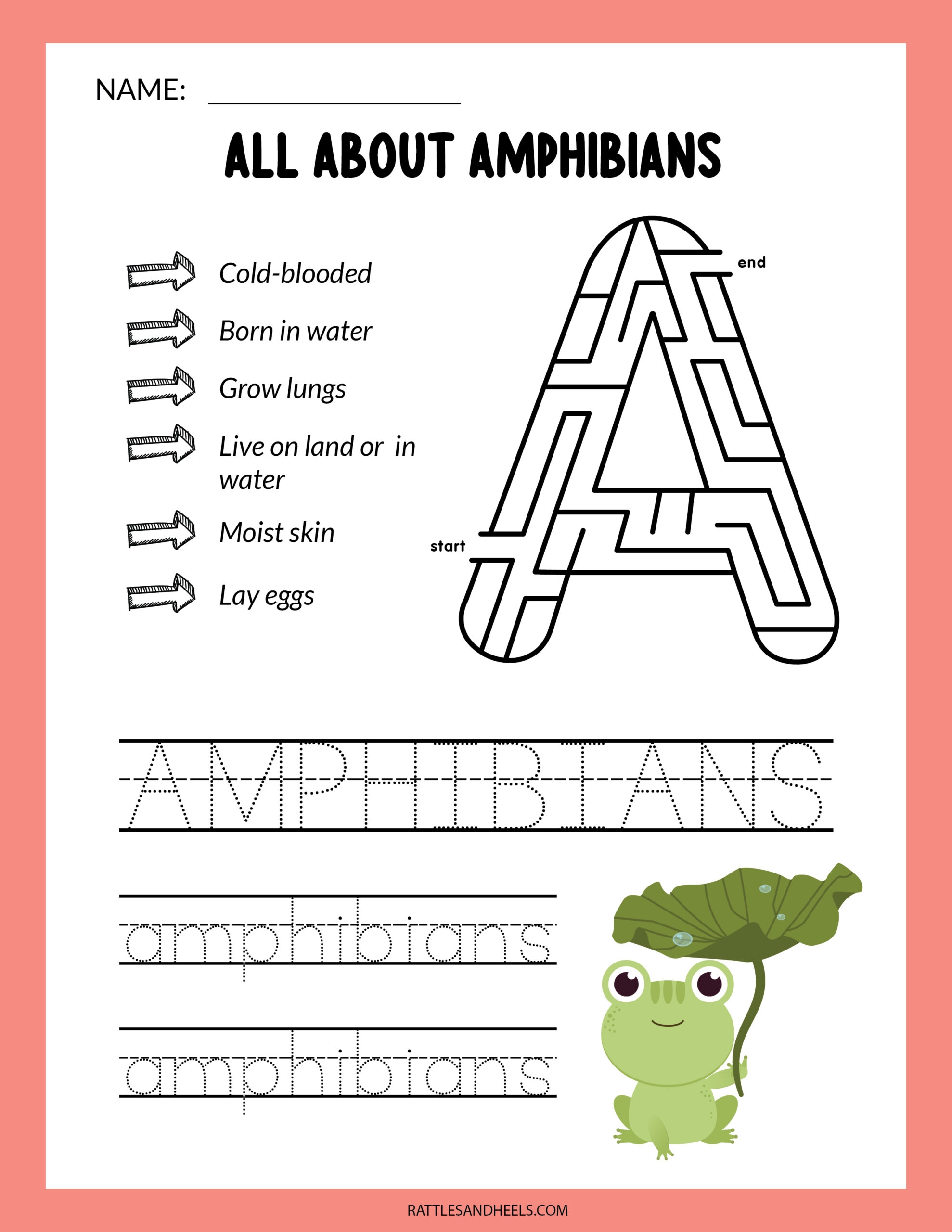 Amphibians Worksheets For Kids Free Printables Adanna Dill