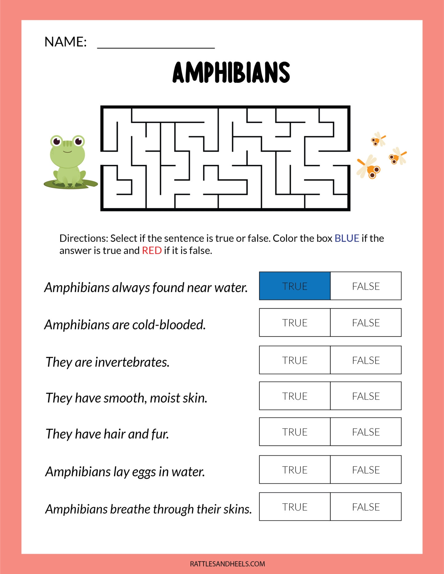 Amphibians Worksheets For Kids Free Printables Adanna Dill