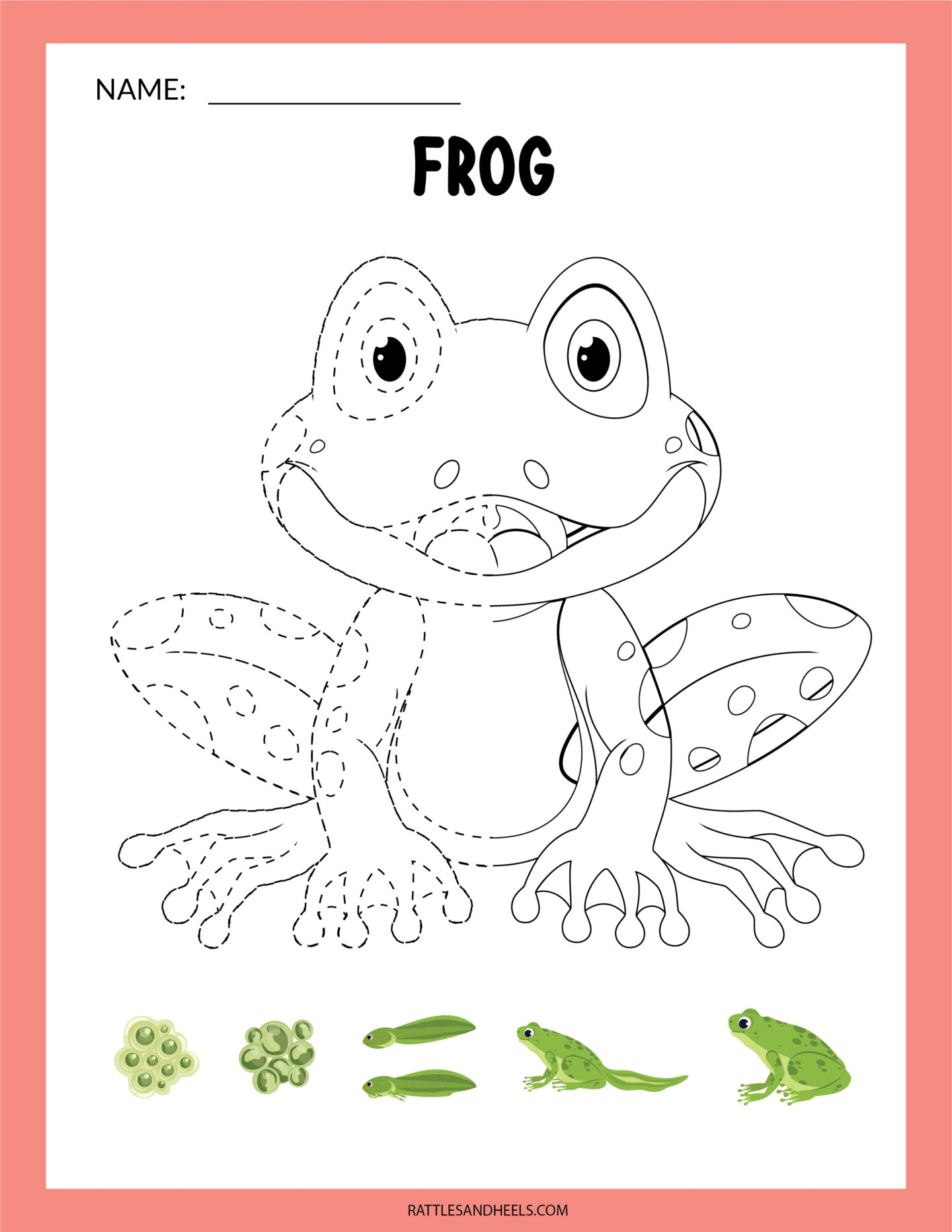 Amphibians Worksheets For Kids Free Printables Adanna Dill