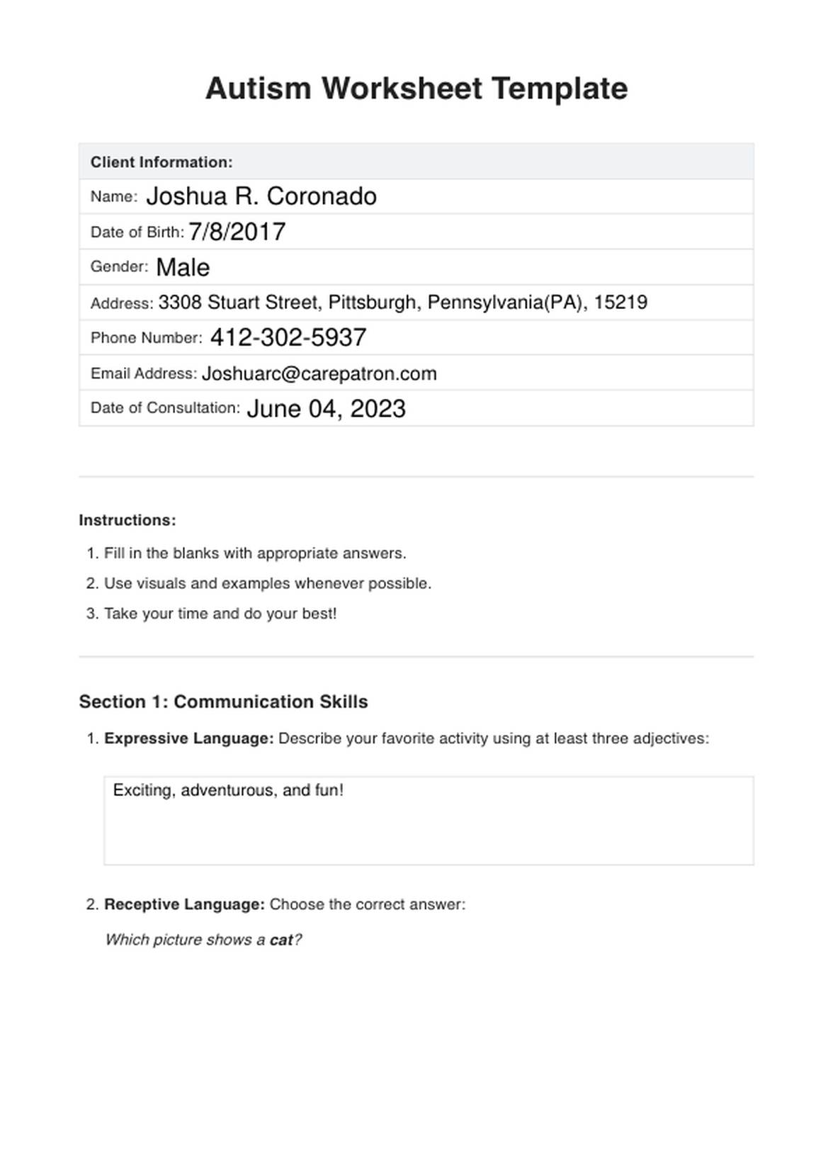 Autism Worksheet U0026 Example Free PDF Download