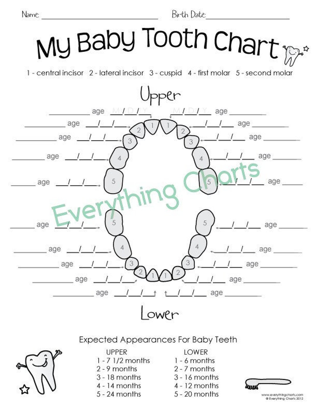 Baby Tooth Chart Pdf printable Etsy Australia Baby Tooth Chart Pdf printable Etsy Australia