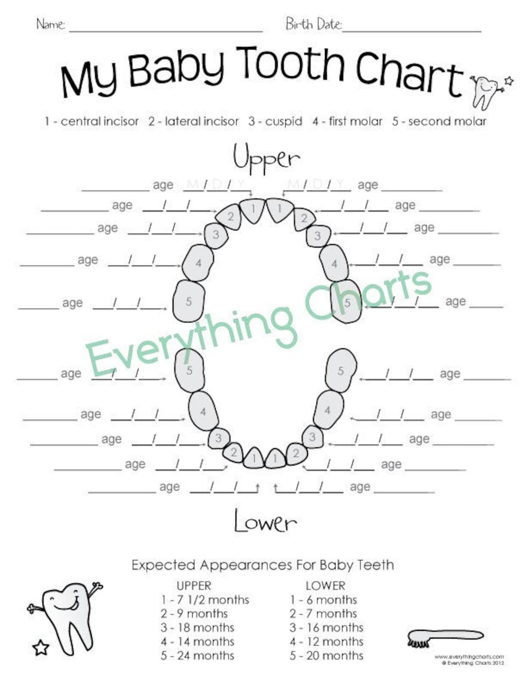 Baby Tooth Chart Pdf printable Etsy Norway Baby Tooth Chart Pdf printable Etsy Norway