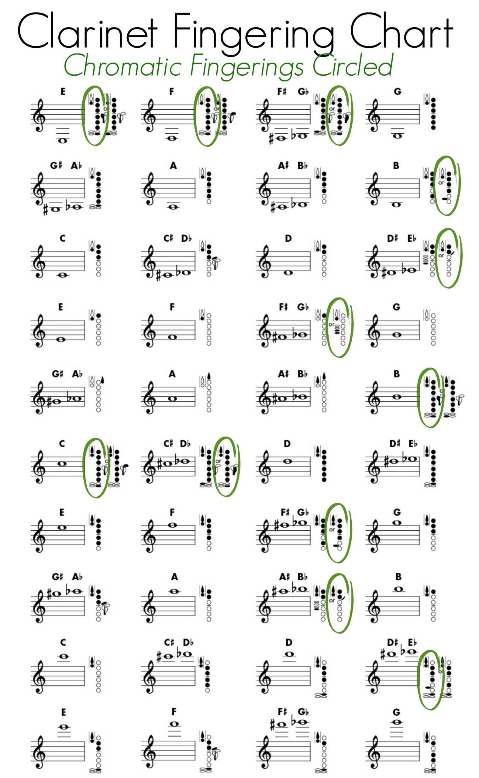 Bass Clarinet Finger Chart Bass Clarinet Fingering Chart Full Range Trill Guide For Alto Contralto Clarinets Bass Clarinet Guide