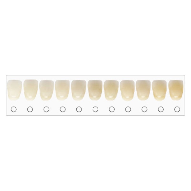 BleachRefills Tooth Whitening Shade Guide 1 Pk Tooth Whitening