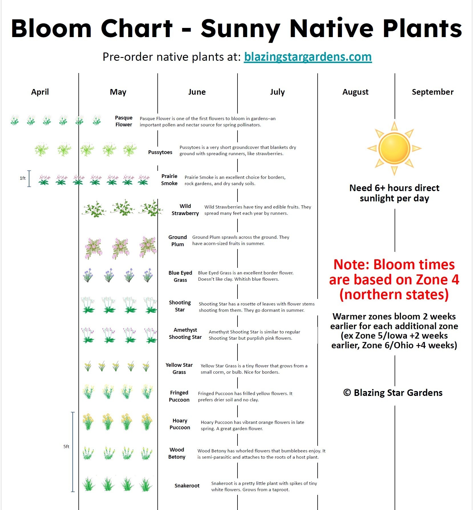 Bloom Charts For Native Plants Blazing Star Gardens