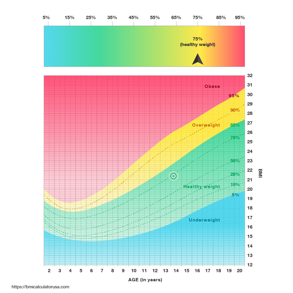 BMI Calculator Association Of South Bay Surgeons