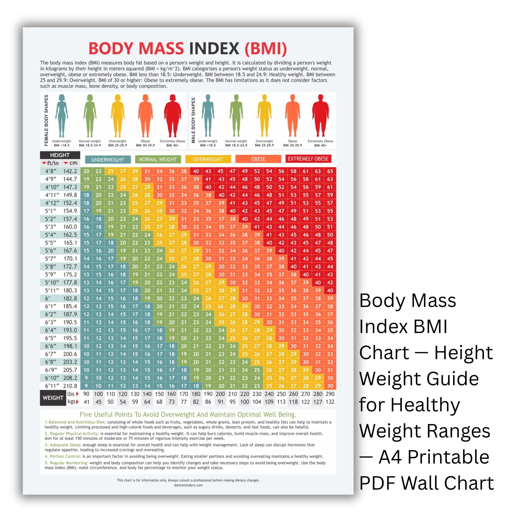 BMI Chart Height Weight Guide Printable A4 PDF Etsy Finland