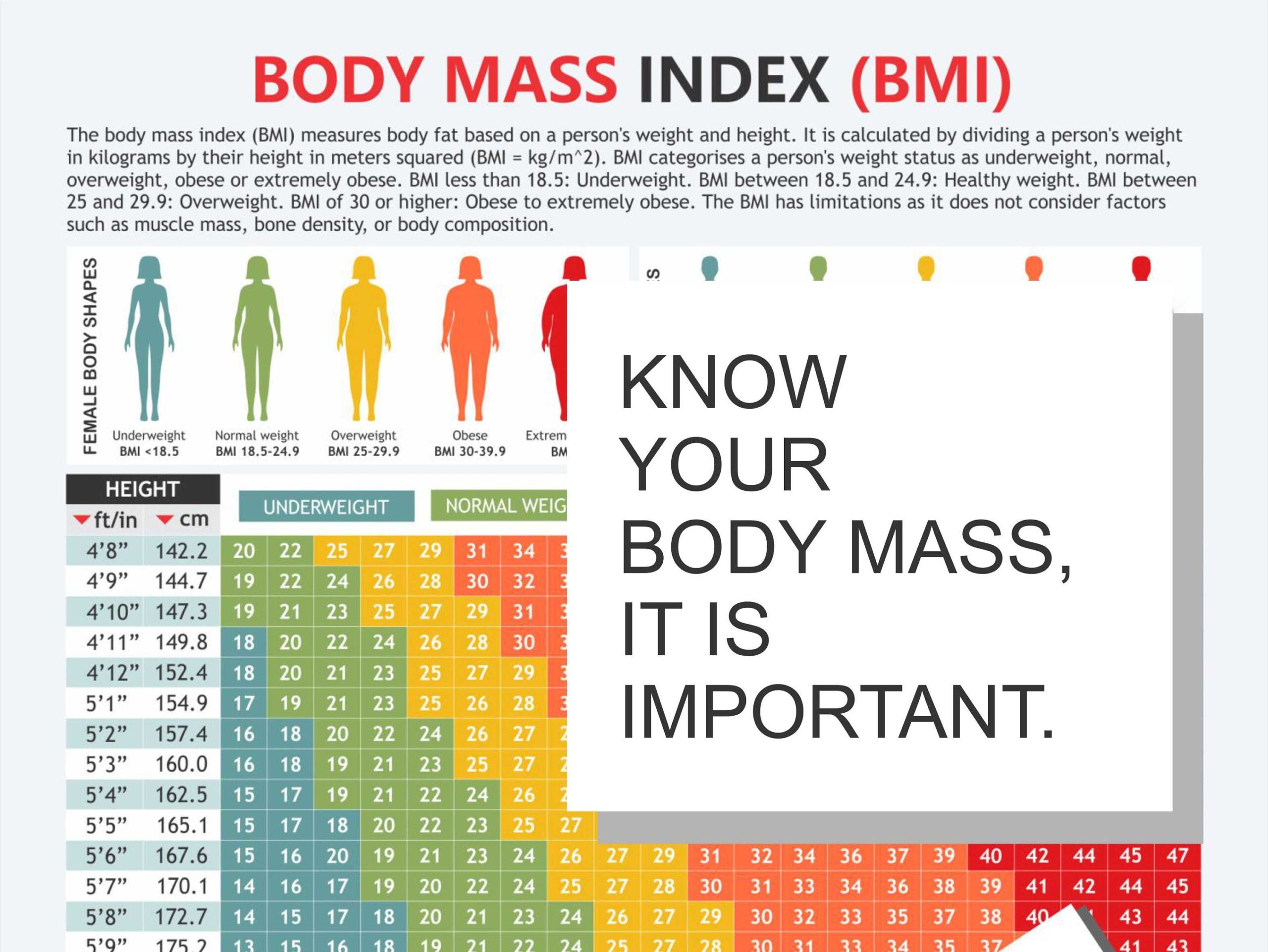 Body Mass Index Chart Digital Download PDF Height And Weight Body Fat Healthy Weight Waist Circumference Maintaining Weight Etsy UK