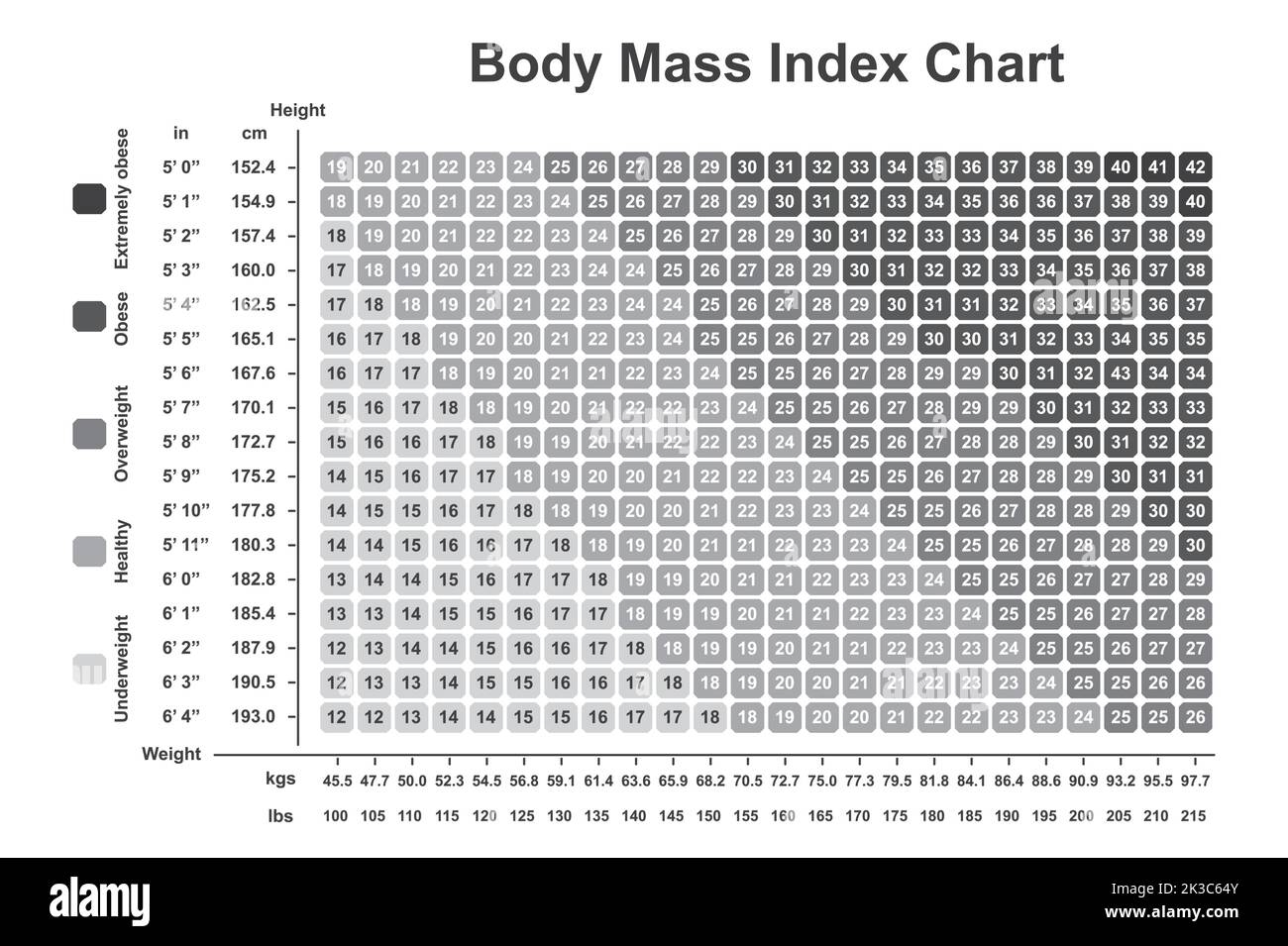 Printable Body Mass Index Chart