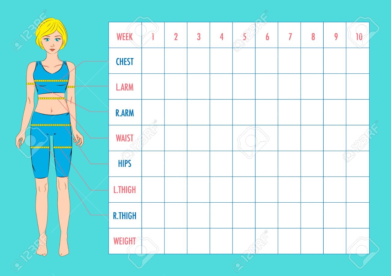 Body Measurement Tracking Chart Layout Blank Weight Loss Chart Chest Waist Hips Arms Thighs Measurements Recording Figure Of The Girl Model In Sportswear Vector Illustration Royalty Free SVG Cliparts Vectors And Stock