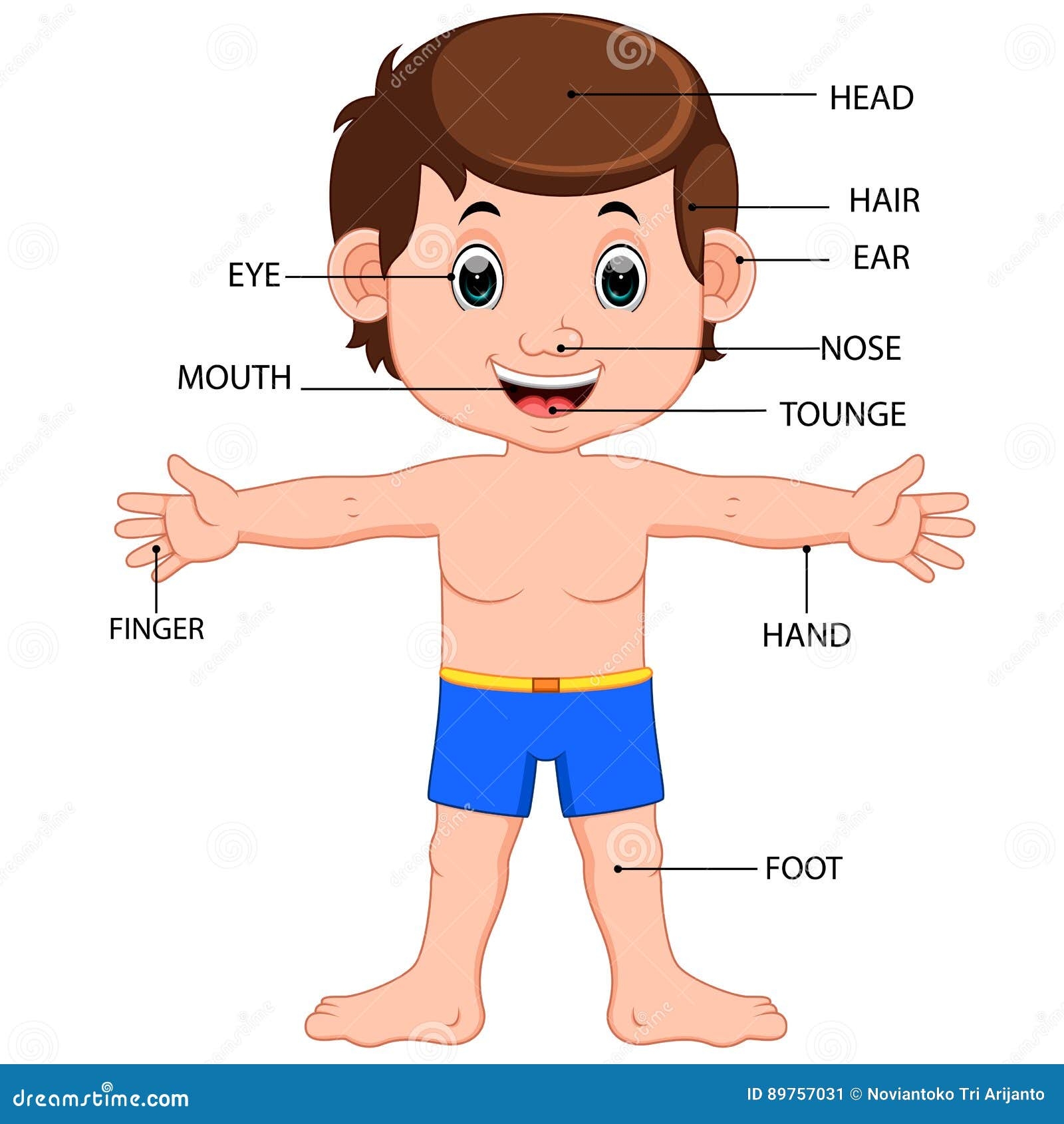Body Parts Diagram Kids Stock Illustrations 82 Body Parts Diagram Kids Stock Illustrations Vectors Clipart Dreamstime