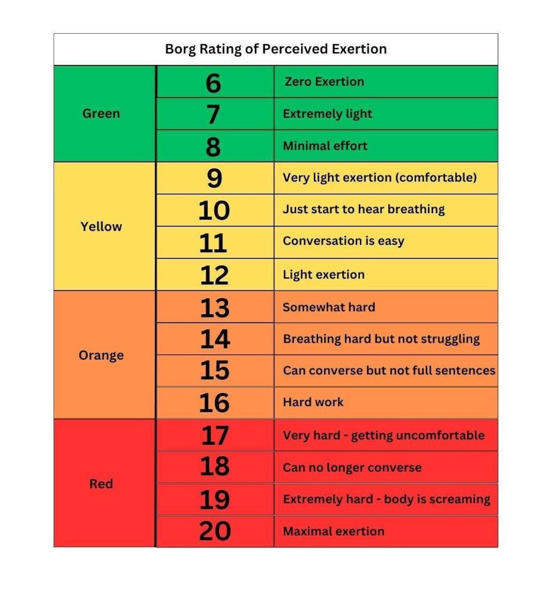 Borg Rating Of Perceived Exertion Modified Borg English And Spanish Digital Download Etsy