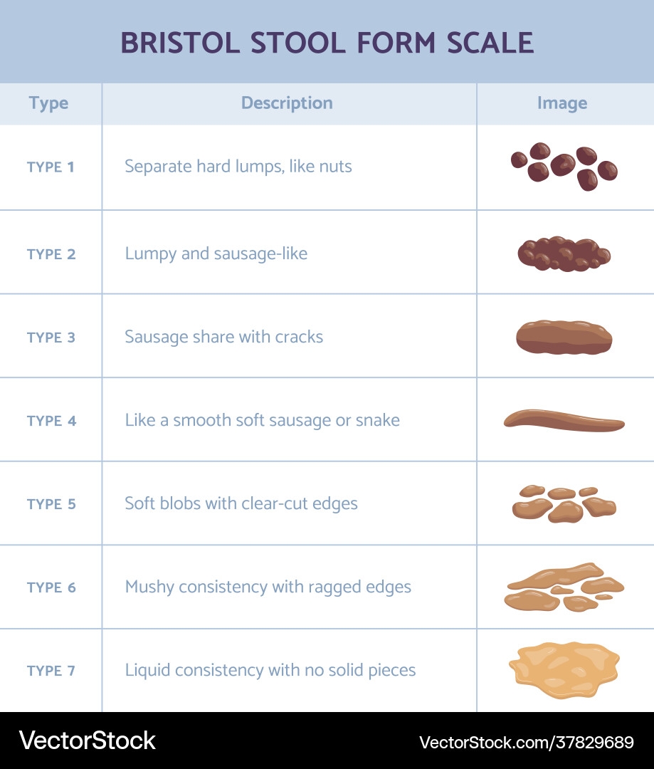 Printable Bristol Stool Chart Pdf
