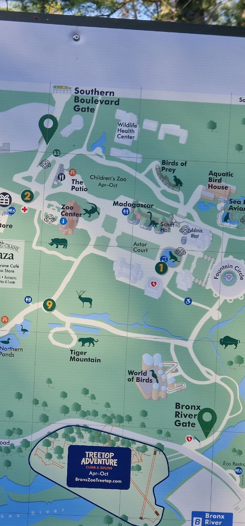 Bronx Zoo Admission Ticket In Booking From 33 95