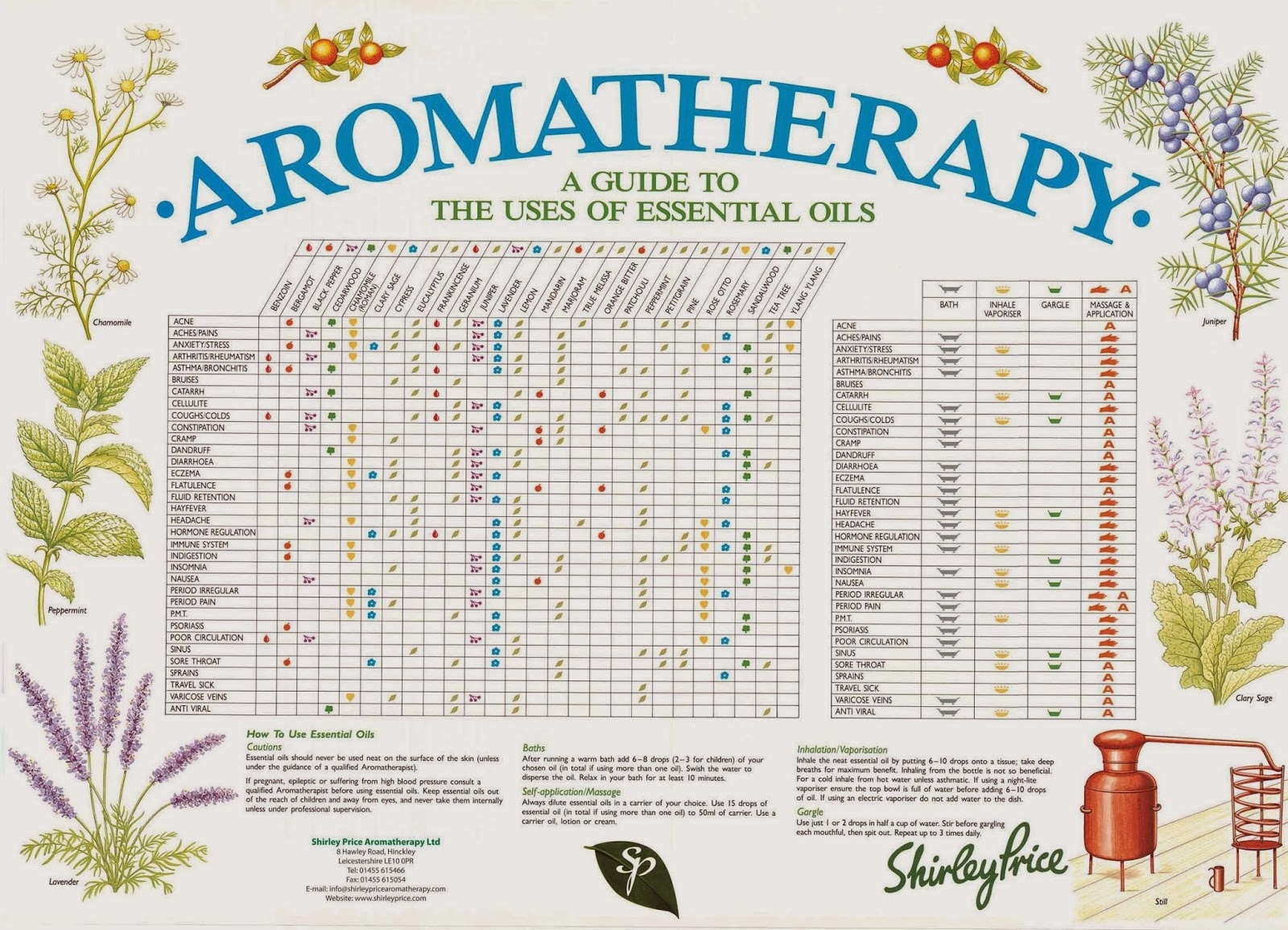 Brother Label Aromatherapy Essential Oils Guide 4 Page Laminated Quick Reference Chart By Permacharts QL Printer Labels