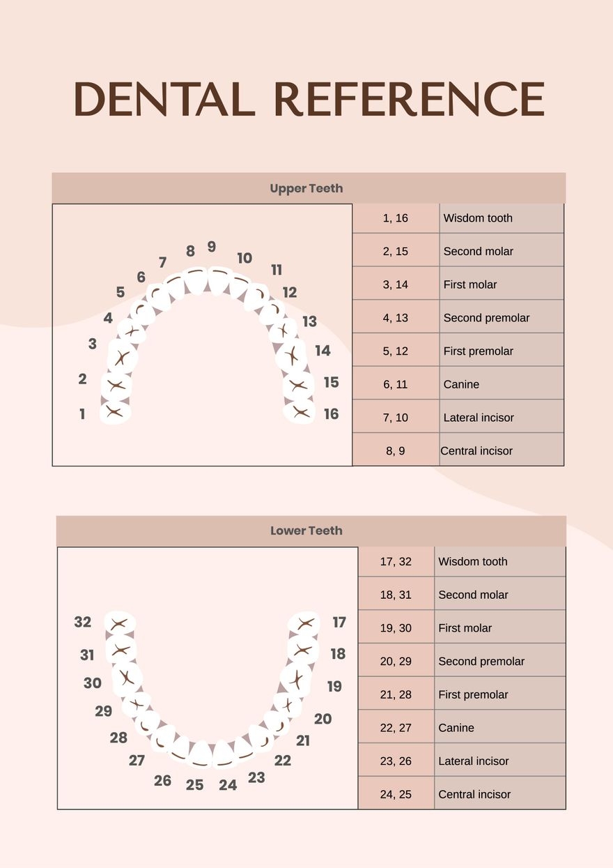 Printable Canine Dental Chart Pdf