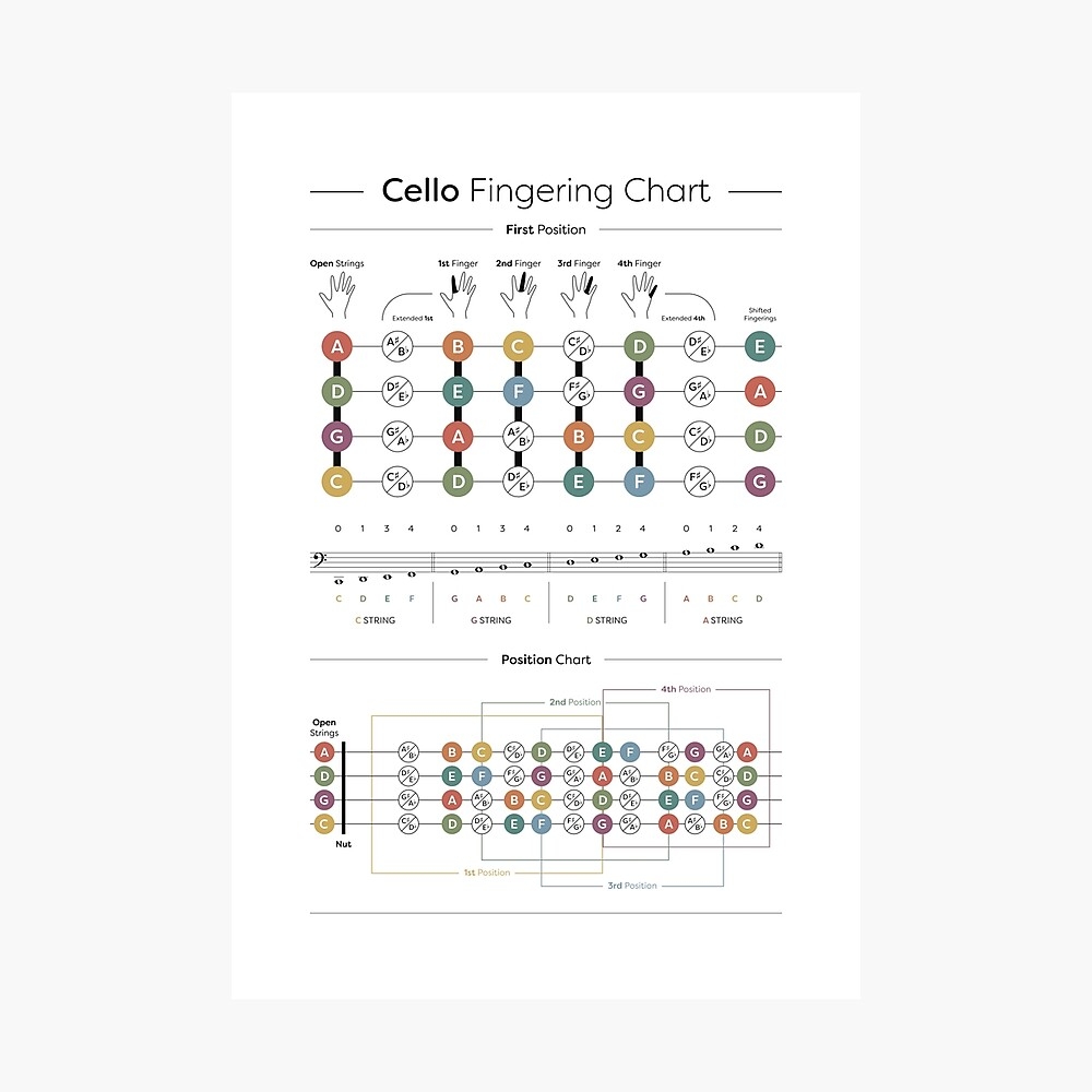 Free Printable Cello Fingering Chart
