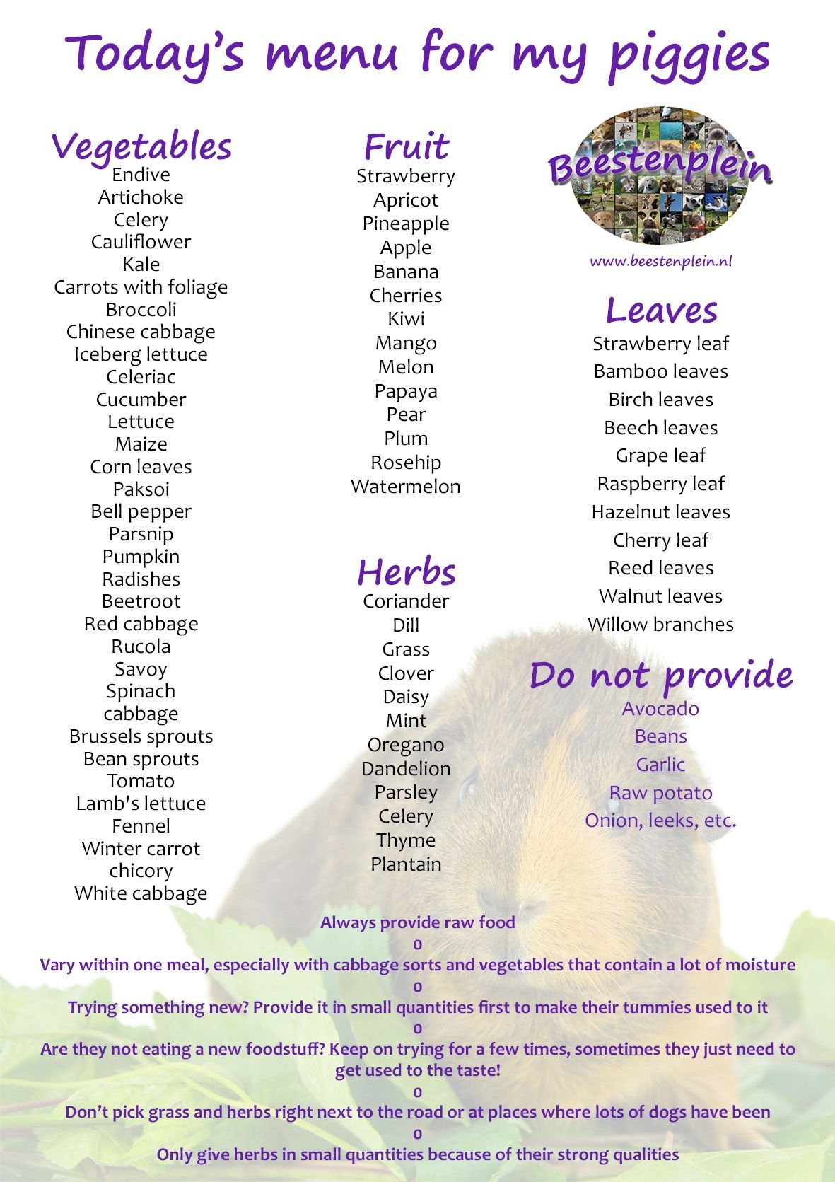 Chart Feeding Guinea Pigs Feed Guinea Pig Safe Veggies Printable Guinea Pig Fresh Food List