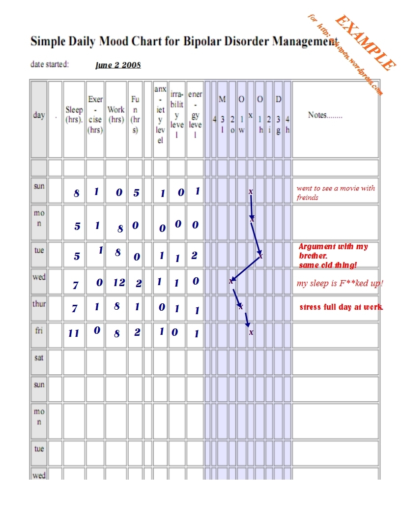 Charting My Moods bipolar Pennsylvania Echoes