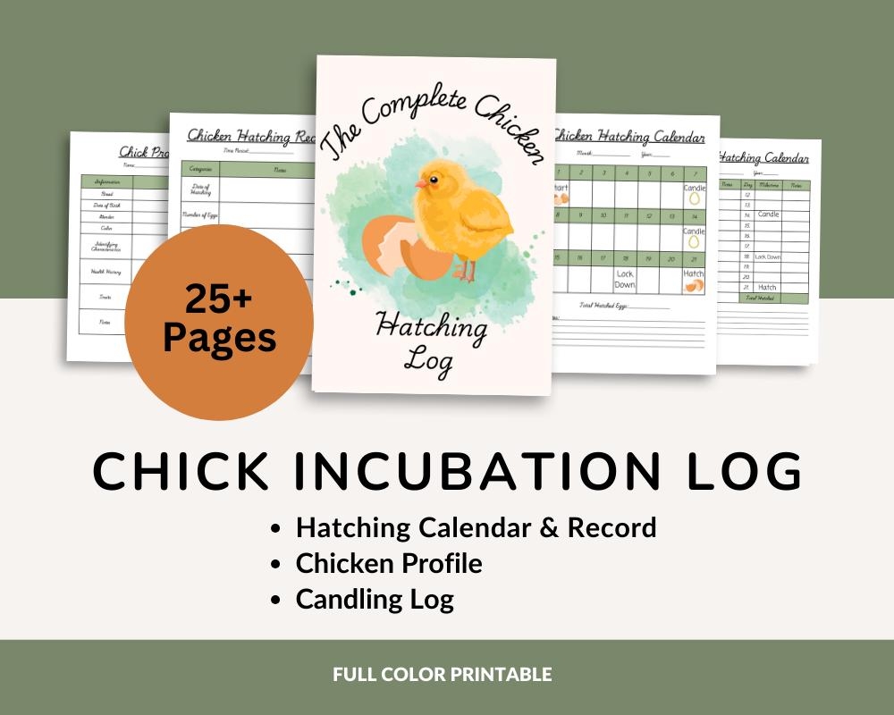 Chick Hatching Calendar Etsy Chick Hatching Calendar Etsy
