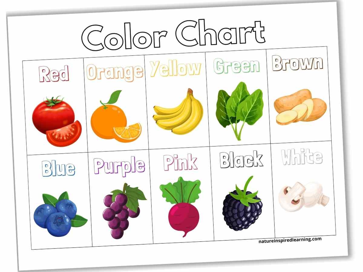Printable Primary Colors Chart