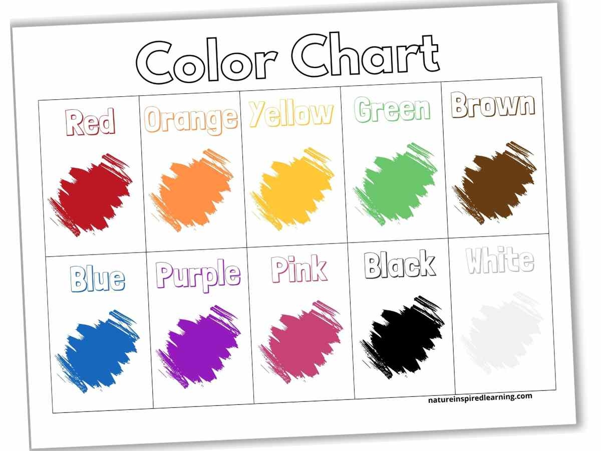 Color Charts Plus Activity Ideas Nature Inspired Learning
