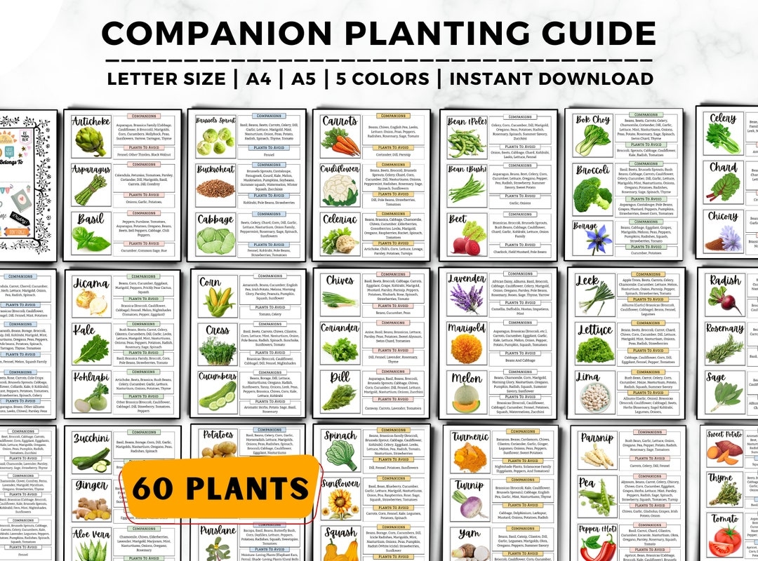 Companion Planting Guide Garden Planner Companion Plant Garden Journal Garden Planning Chart Garden Organizer Companion Planting Chart Etsy