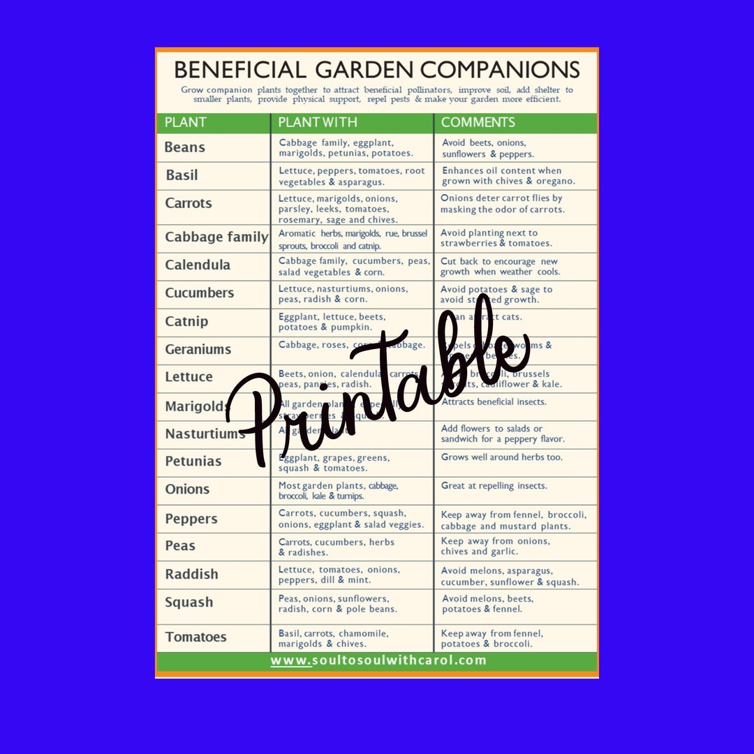 Companion Planting Guide Garden Printable PDF PNG Etsy UK