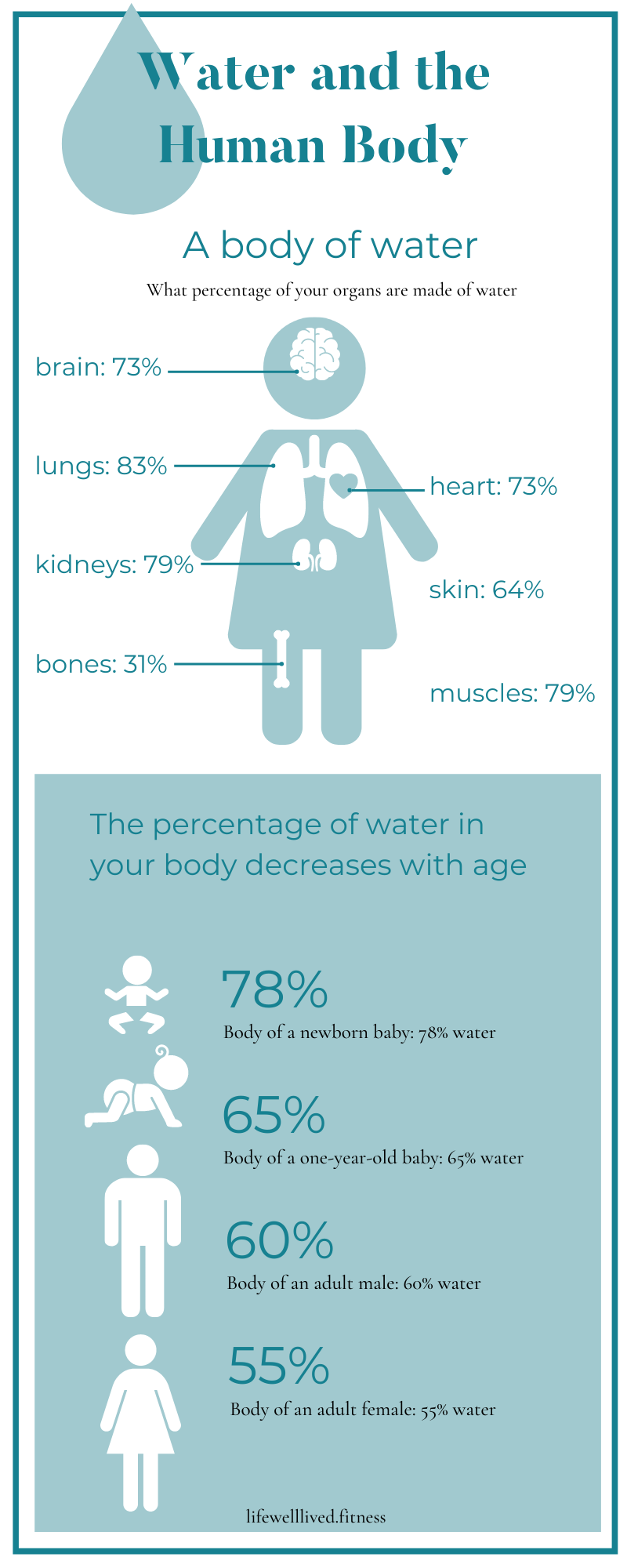 Daily Water Intake Calculator Life Well Lived