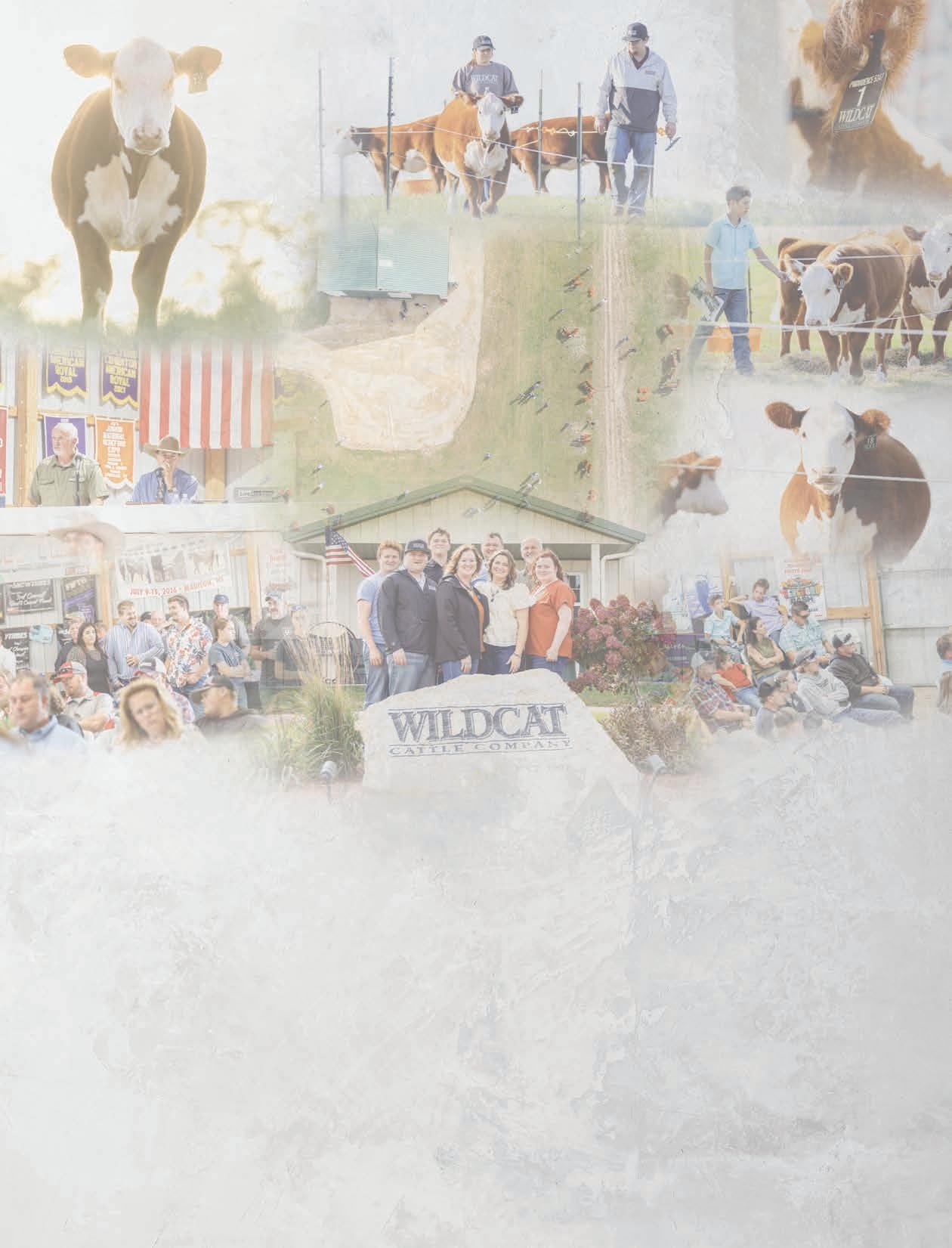 December 2025 Hereford World By American Hereford Association Issuu