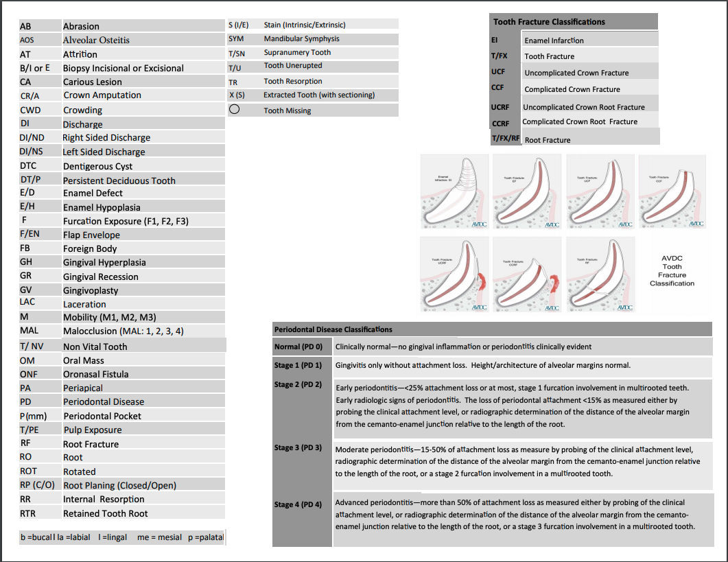 Dental Charting OSU CVM Veterinary Clinical And Professional Skills Center Handbook