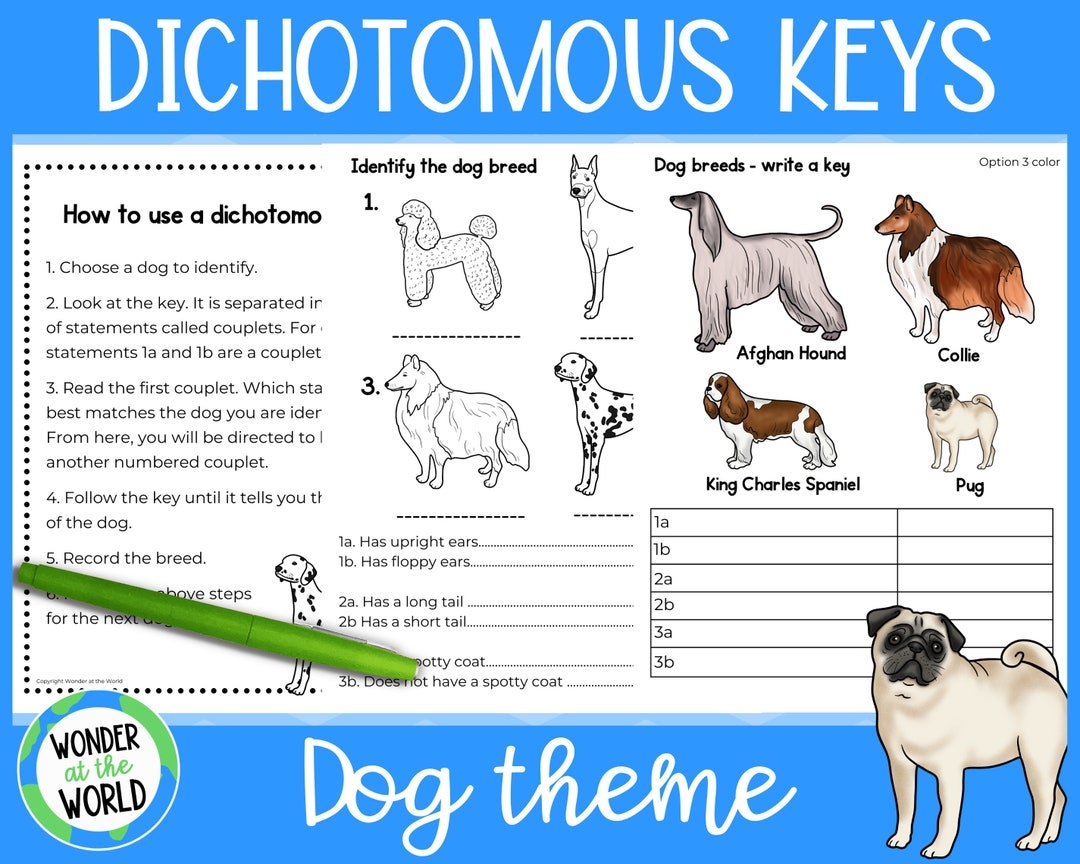 Dichotomous Keys Activities Worksheets For Elementary Or Primary Science Dog Theme A4 And 8 5 X 11 Digital Download PDF Etsy