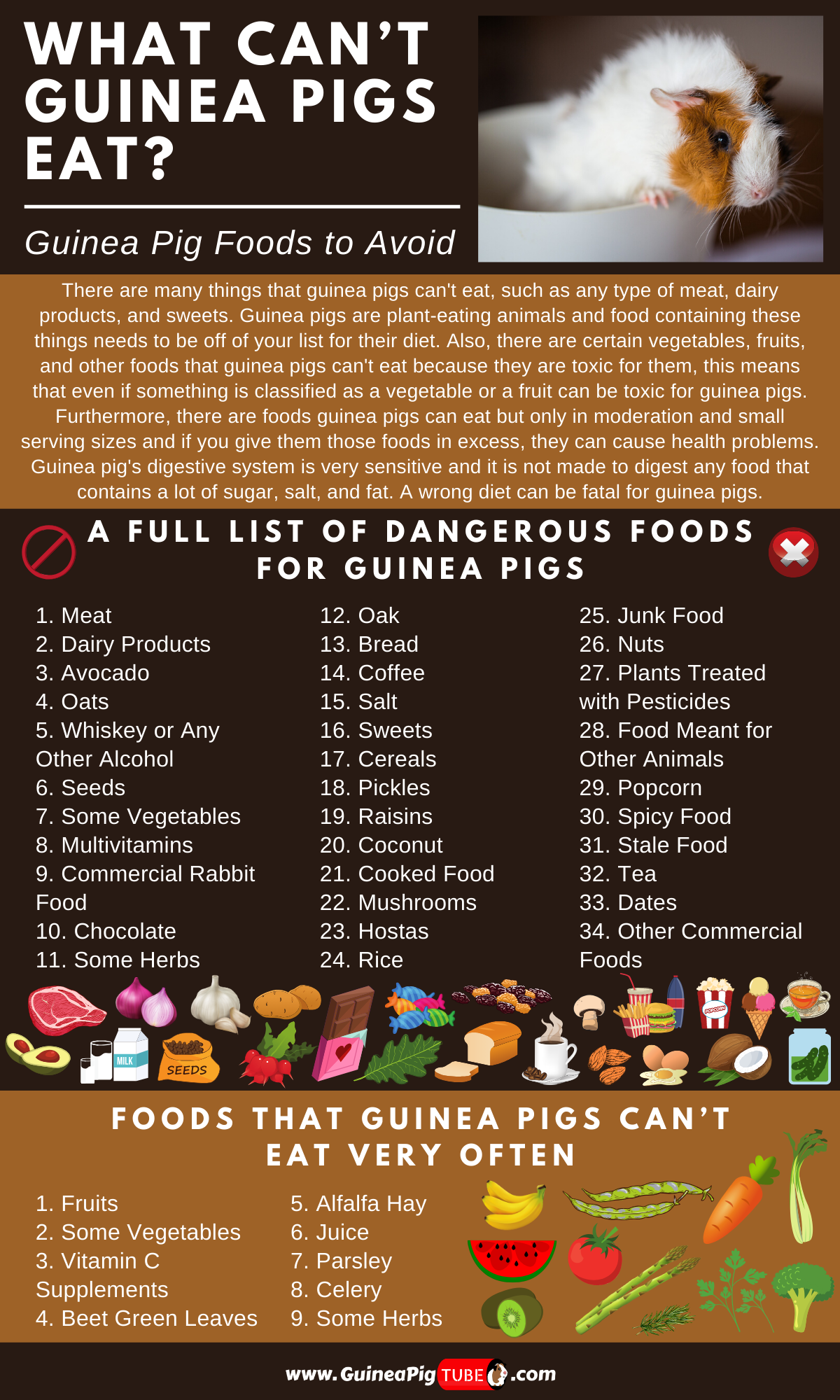 Printable Guinea Pig Feeding Chart