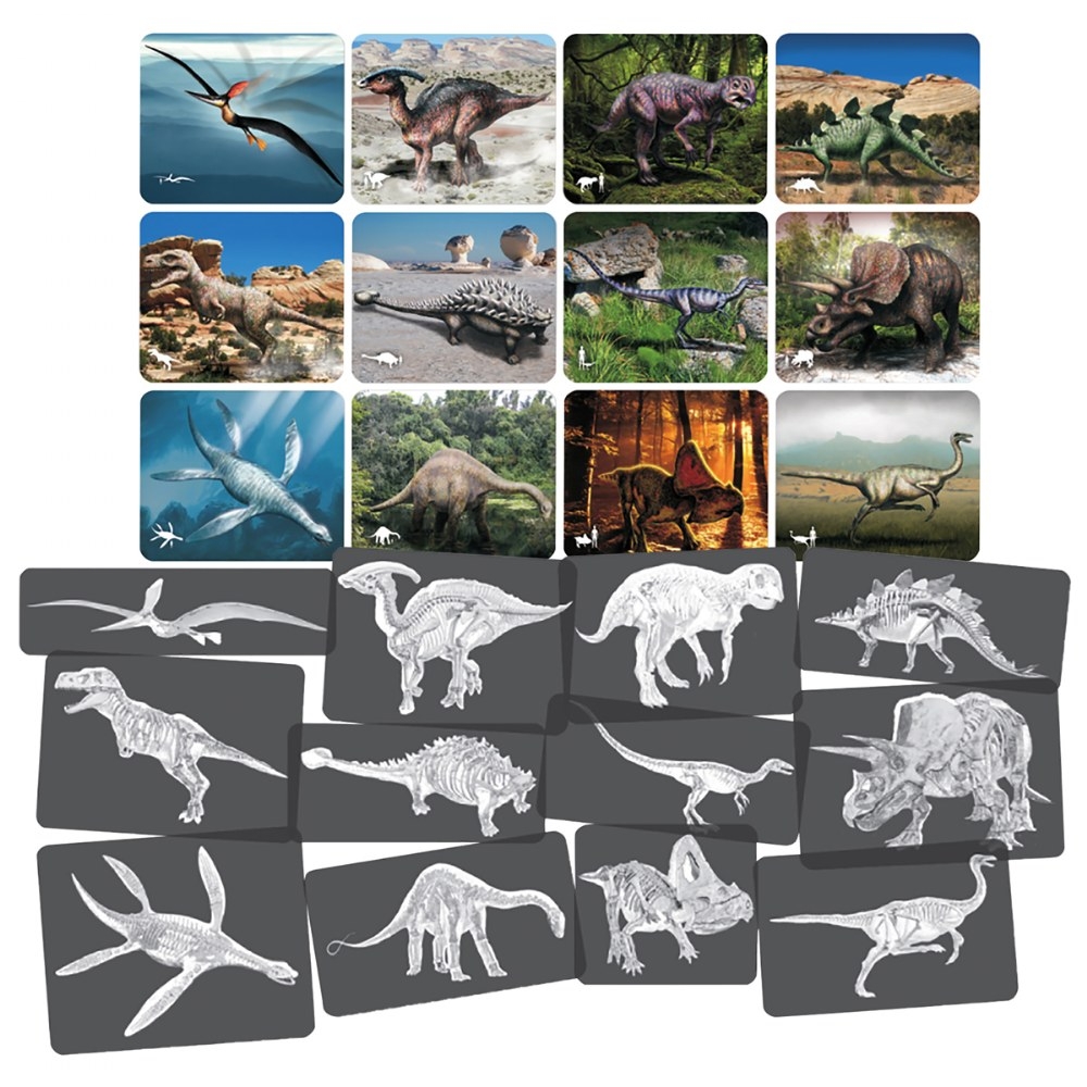 Dinosaur Picture Cards X Rays