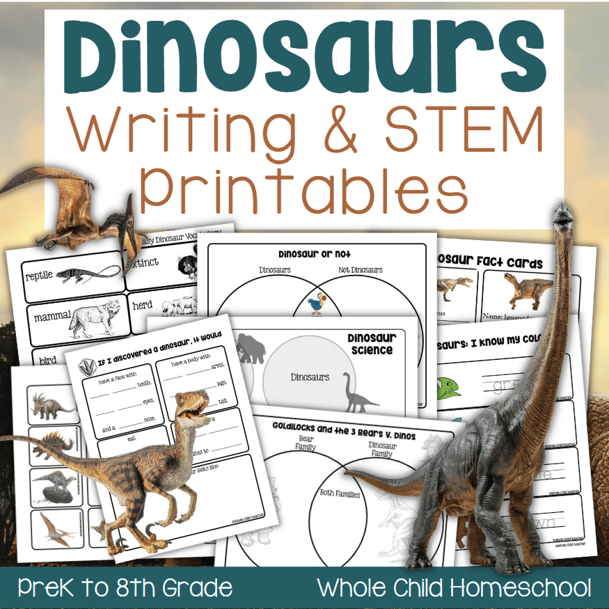 Dinosaur Printables Literacy STEM Report Flashcards Games 