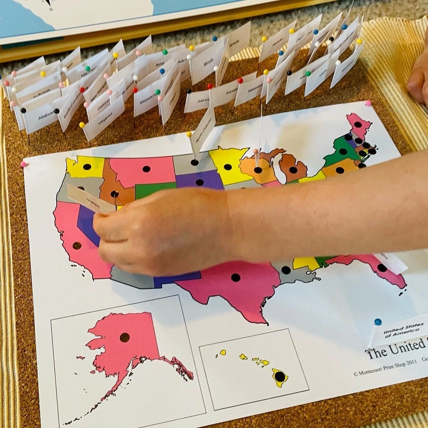 Printable Map With Pins