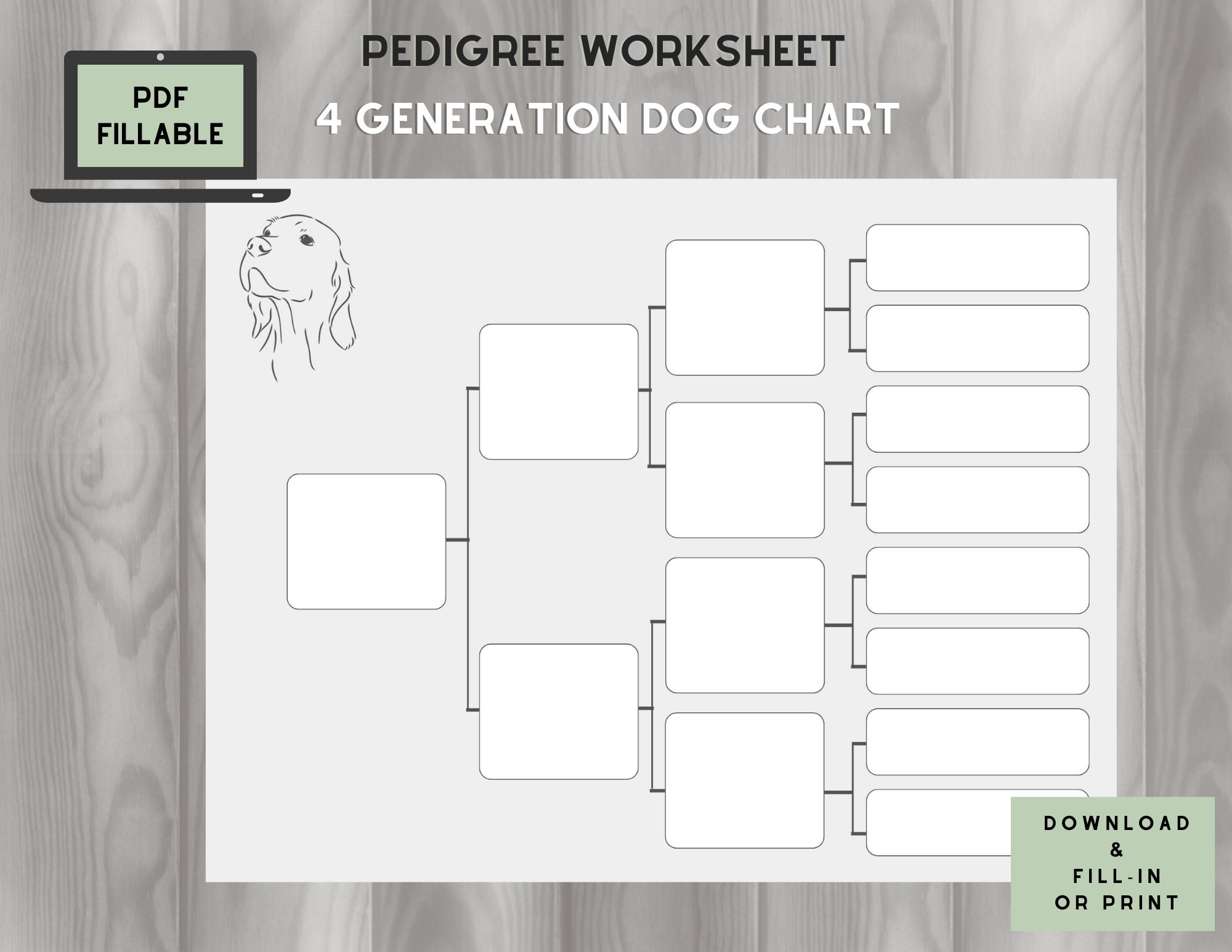 Dog Pedigree Chart 4 Generations On One Page Fillable PDF Etsy