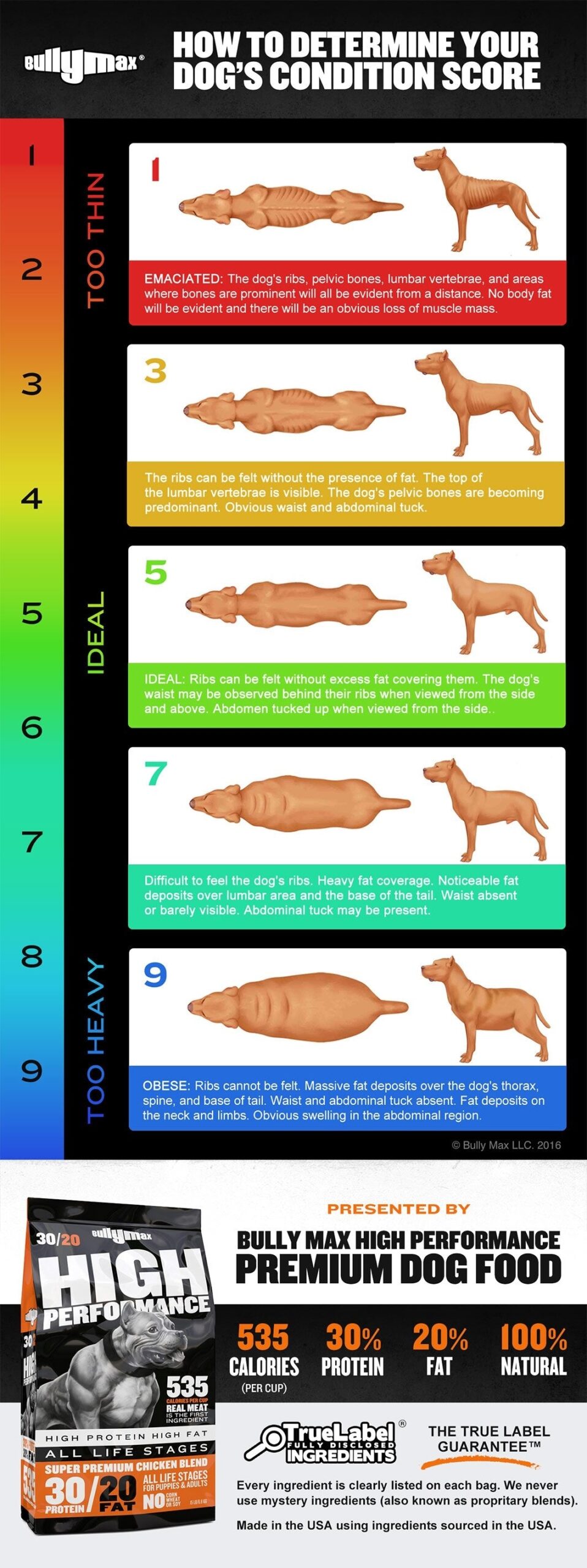 Dog Weight Chart How To Determine Your Dog s Ideal Weight Bully Max Dog Weight Chart How To Determine Your Dog s Ideal Weight Bully Max