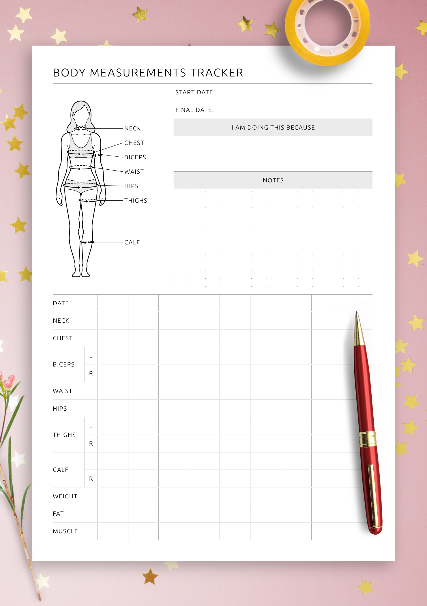 Download Printable Body Measurement Tracker Female PDF